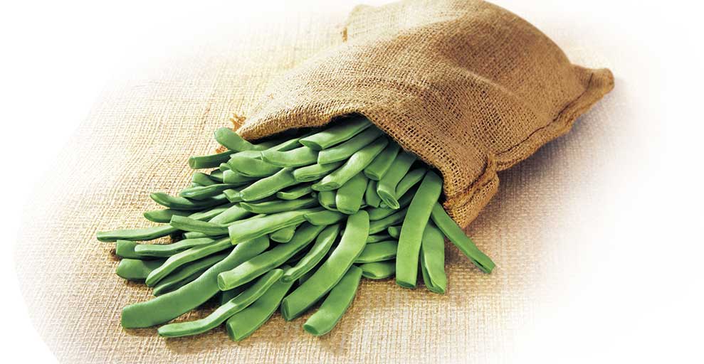 Flat Beans - "Organic Crops"