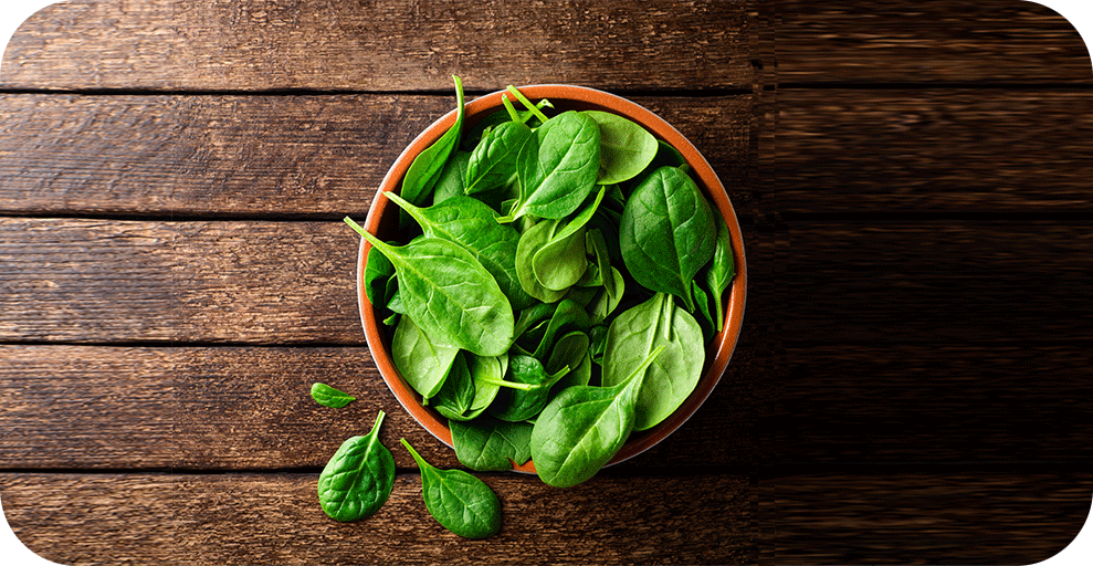 Spinach Leaves - "Organic Crops"